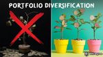 Portfolio Diversification: The Whats, the Whys, and the Hows